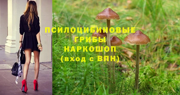 молекула духа Балахна