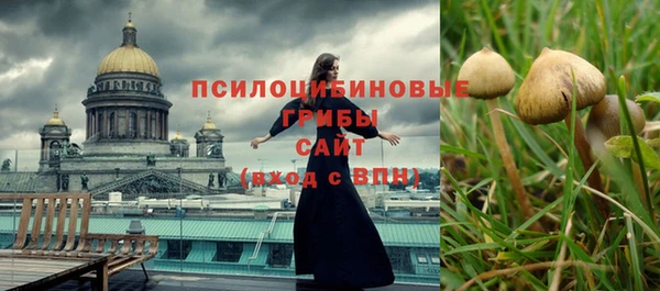 молекула духа Балахна