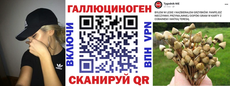 Галлюциногенные грибы Cubensis Топки